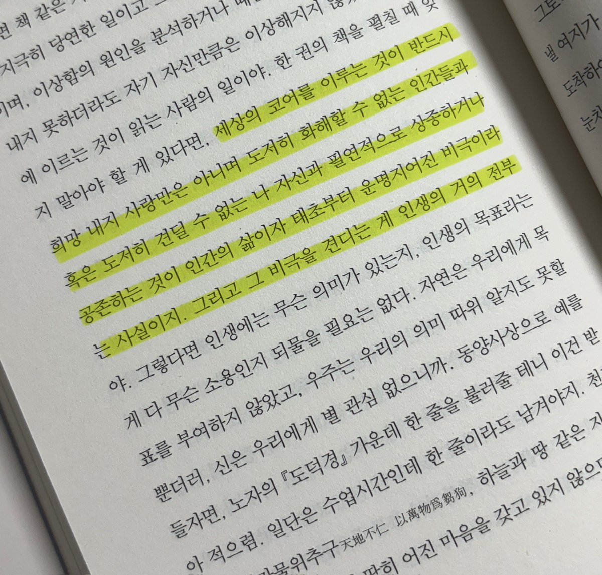담하연 tweet media