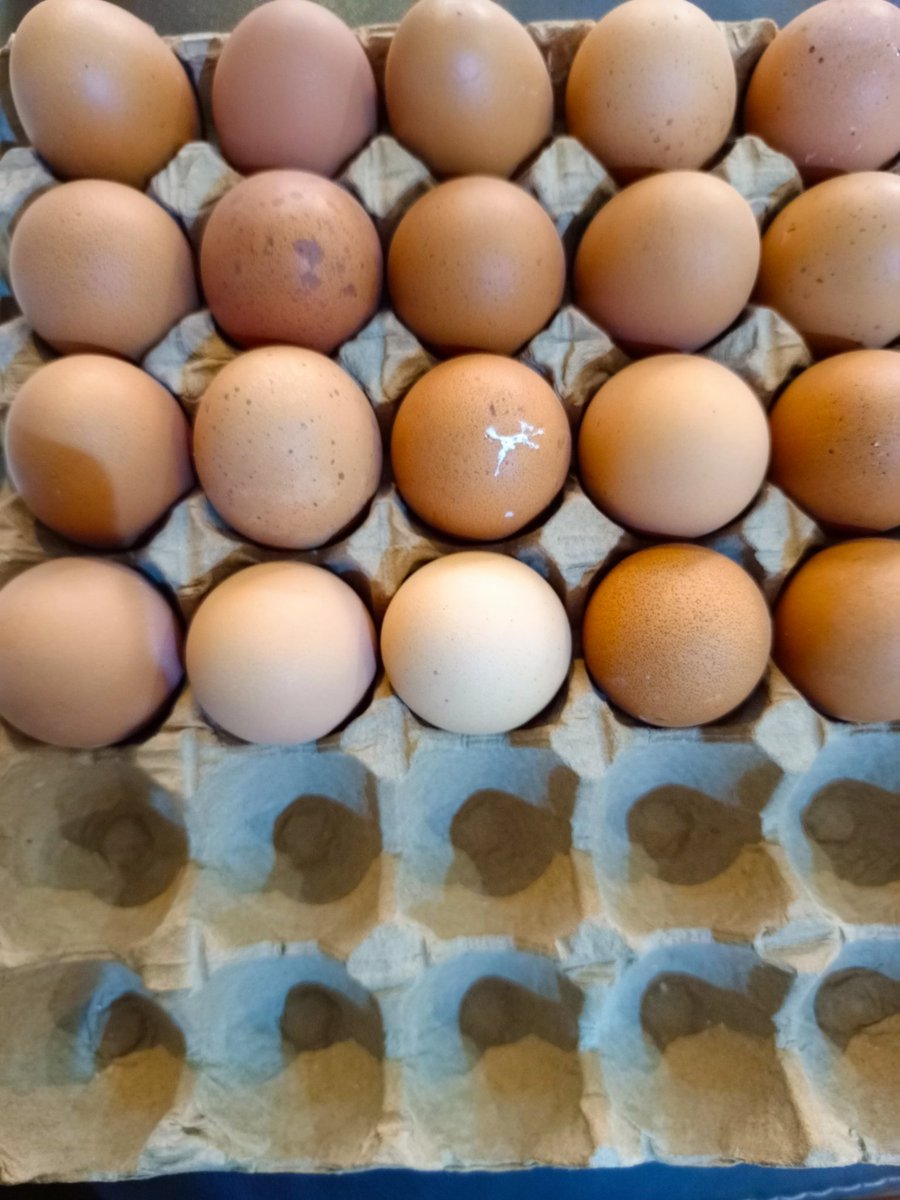 Akwa  Okuko and Half Bread.

The sentencing of Akwa okuko and his cohorts to some years of imprisonment has been hailed and criticized as well. Interestingly or shockingly, one of the critics is a colleague and brother priest, Rev Fr Angelo Chidi Unegbu.

Part of his argument is