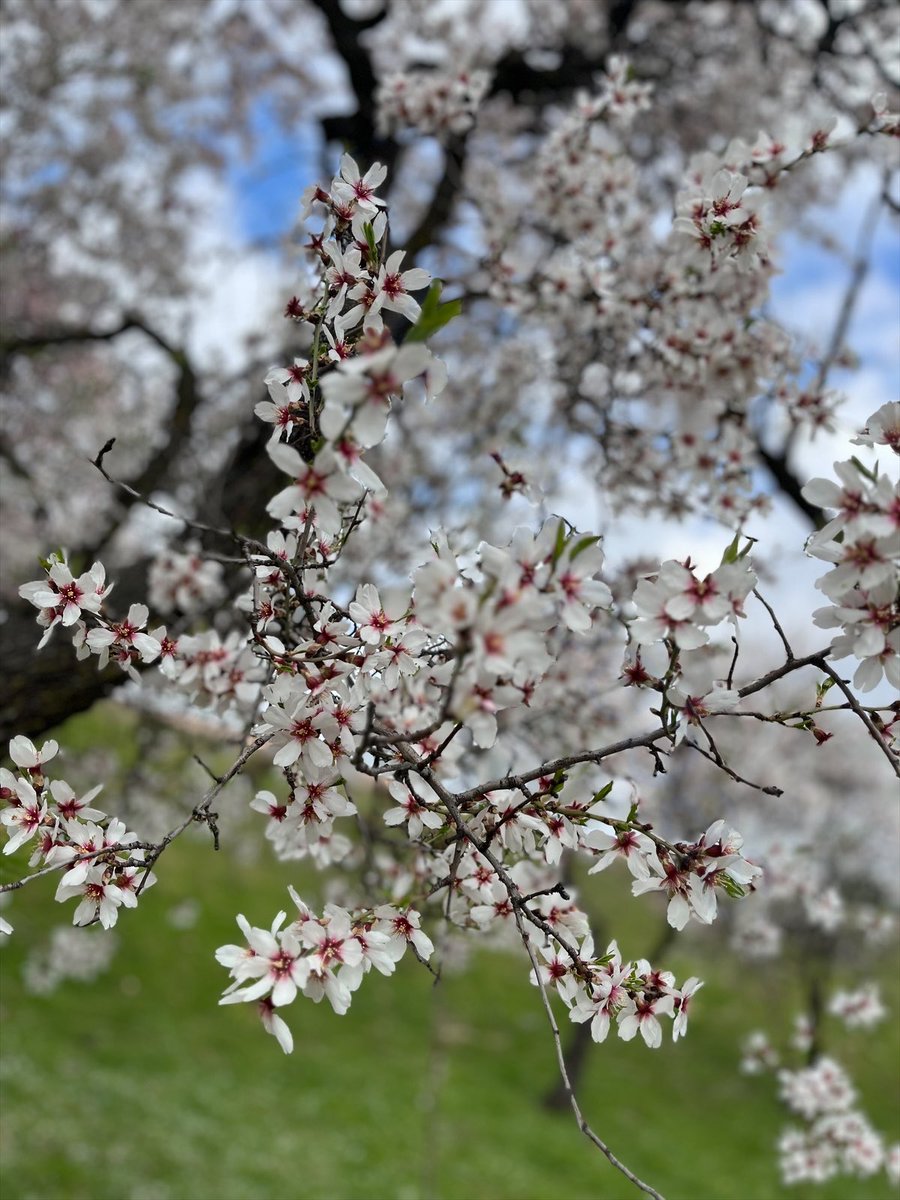 Living in Valdebebas tweet media