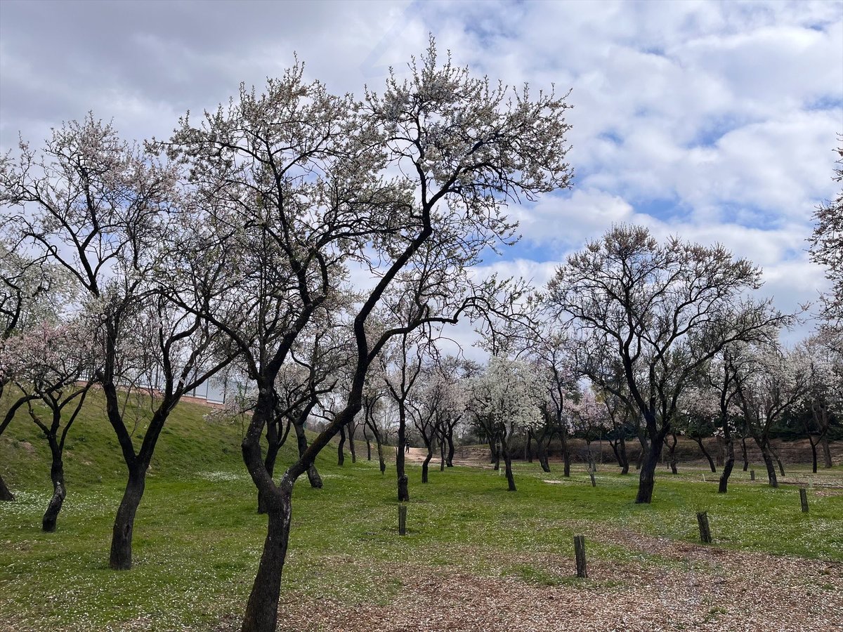 Living in Valdebebas tweet media