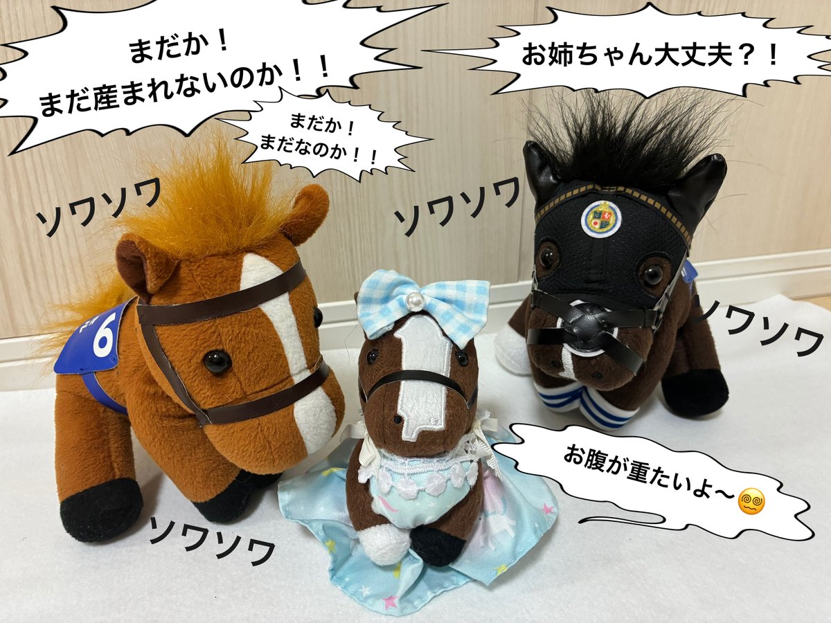 メロディーレーンちゃん、無事出産のお知らせはまだでしょうか？！🍼

お父さんと弟さんは、もうご乱心です🐴