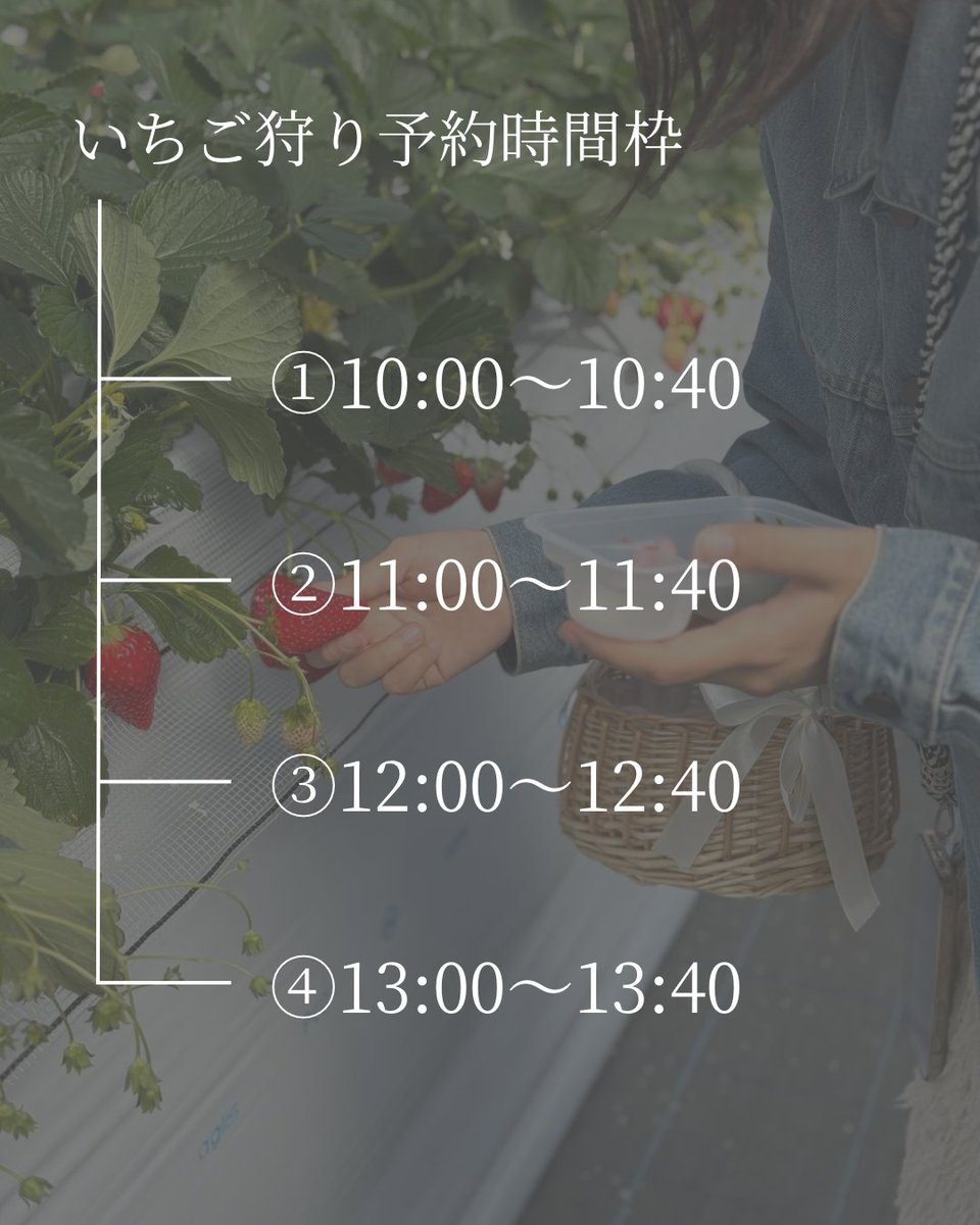 BerryBeanFARM0's tweet photo. 【🍓3月予約空き状況速報🍓】

春休み前後のご予約がどんどん埋まっています🌸✨
3月のいちご狩り、まだ空きはありますが週末は残りわずかです😳🍓
甘くてジューシーないちごを40分食べ放題で楽しみませんか？

#いちご狩り #千葉いちご狩り #千葉観光 #BerryBeanFARM https://t.co/DoWWf3b2rX