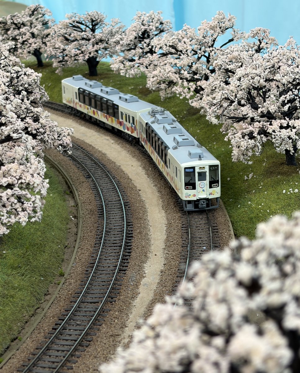 トレインドリーム tweet media