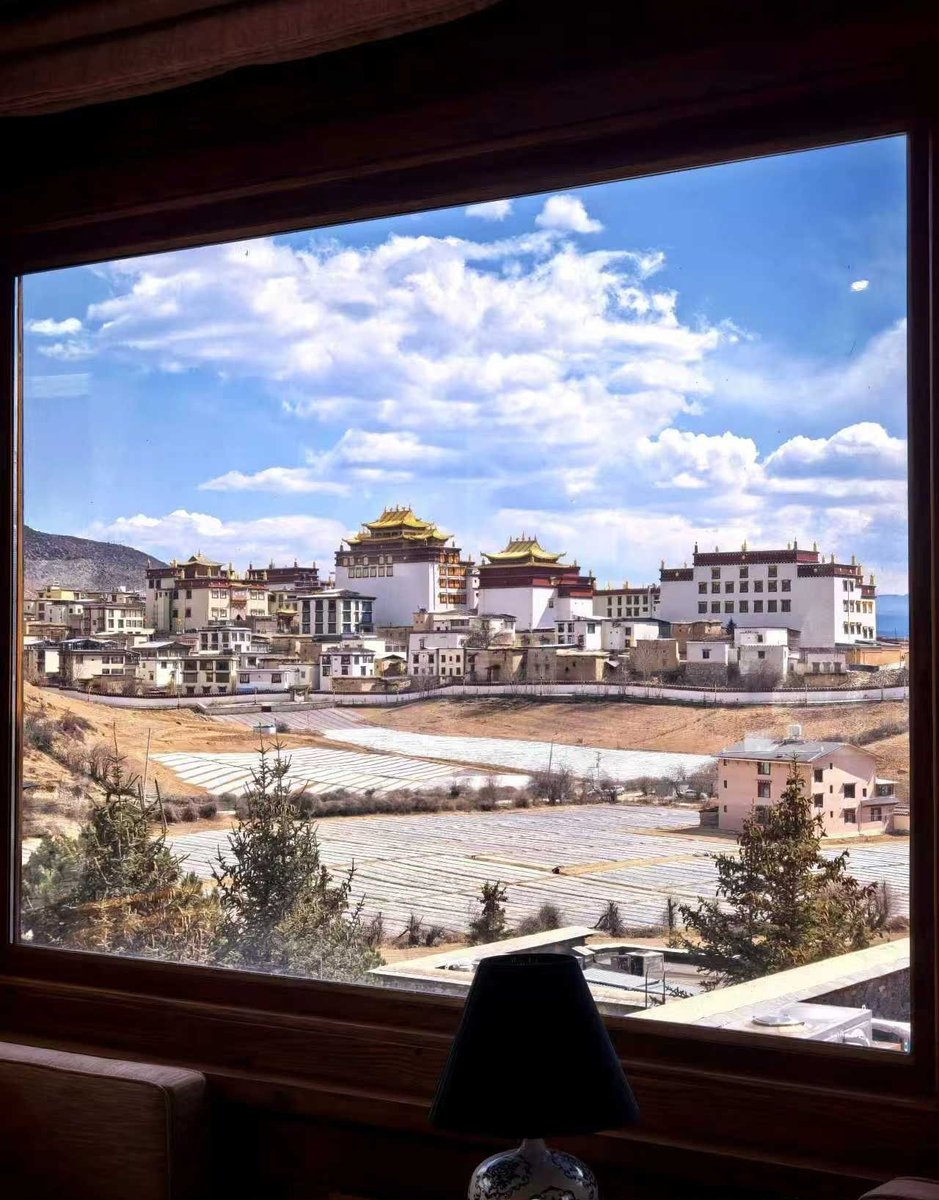 晓慧❤️ tweet media