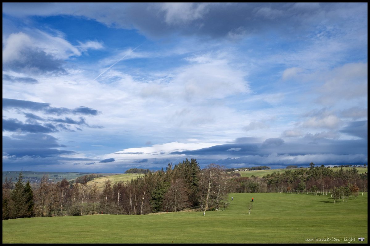 Robin Down tweet media