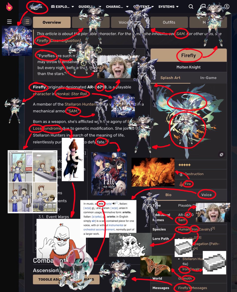 daily firefly 🦋 tweet media