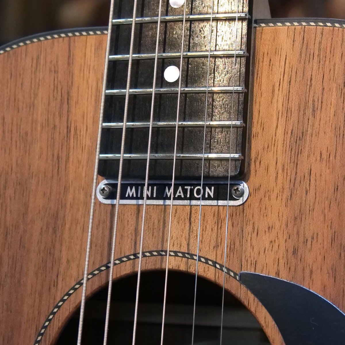大阪店】 #MATON : EMBW6 (Mini Maton) ▽詳細・ご購入はこちら