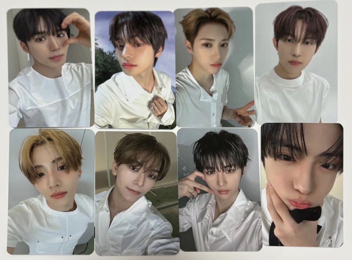 ALPHA DRIVE ONE ALD1 EUPHORIA ヨントン 共同購入 トレカ アドワン