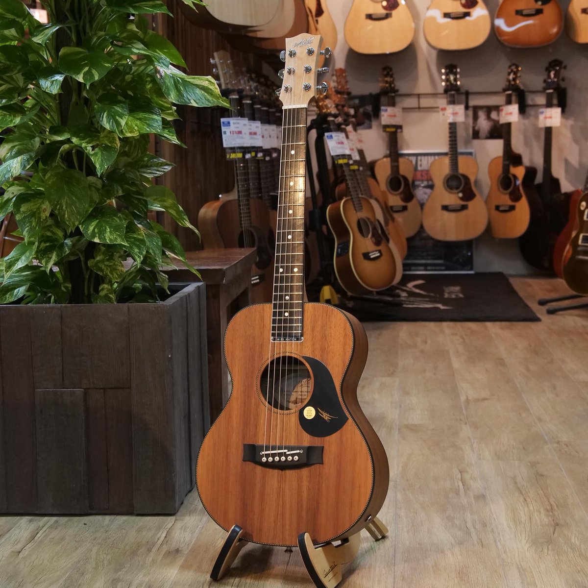 大阪店】 #MATON : EMBW6 (Mini Maton) ▽詳細・ご購入はこちら
