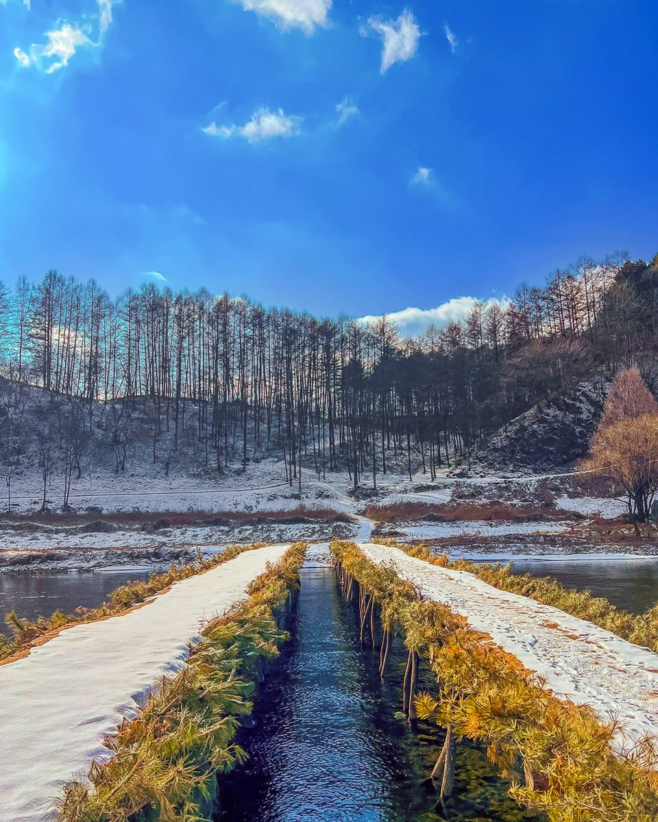 장소에 얽힌 일화랑 10대의 단종이 걸었을 길을 생각하면 절로 먹먹해지는 영월 여행🥹