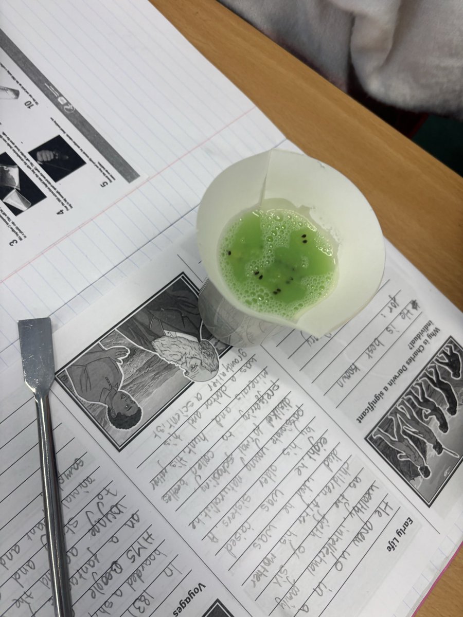 Whitchurch1's tweet image. Year 6 have completed their topic of Evolution and Inheritance, finishing off with extracting DNA from fruit.  #wpsscience