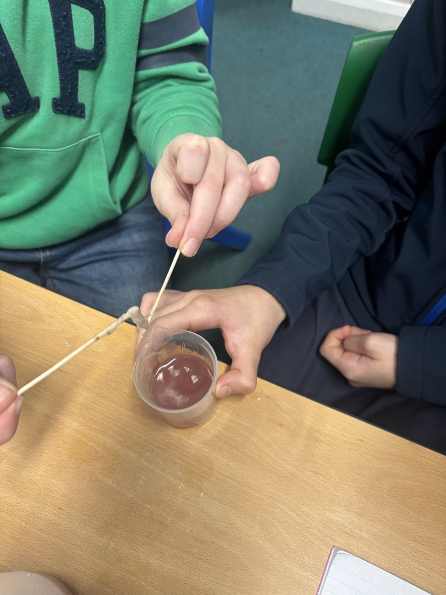 Whitchurch1's tweet image. Year 6 have completed their topic of Evolution and Inheritance, finishing off with extracting DNA from fruit.  #wpsscience