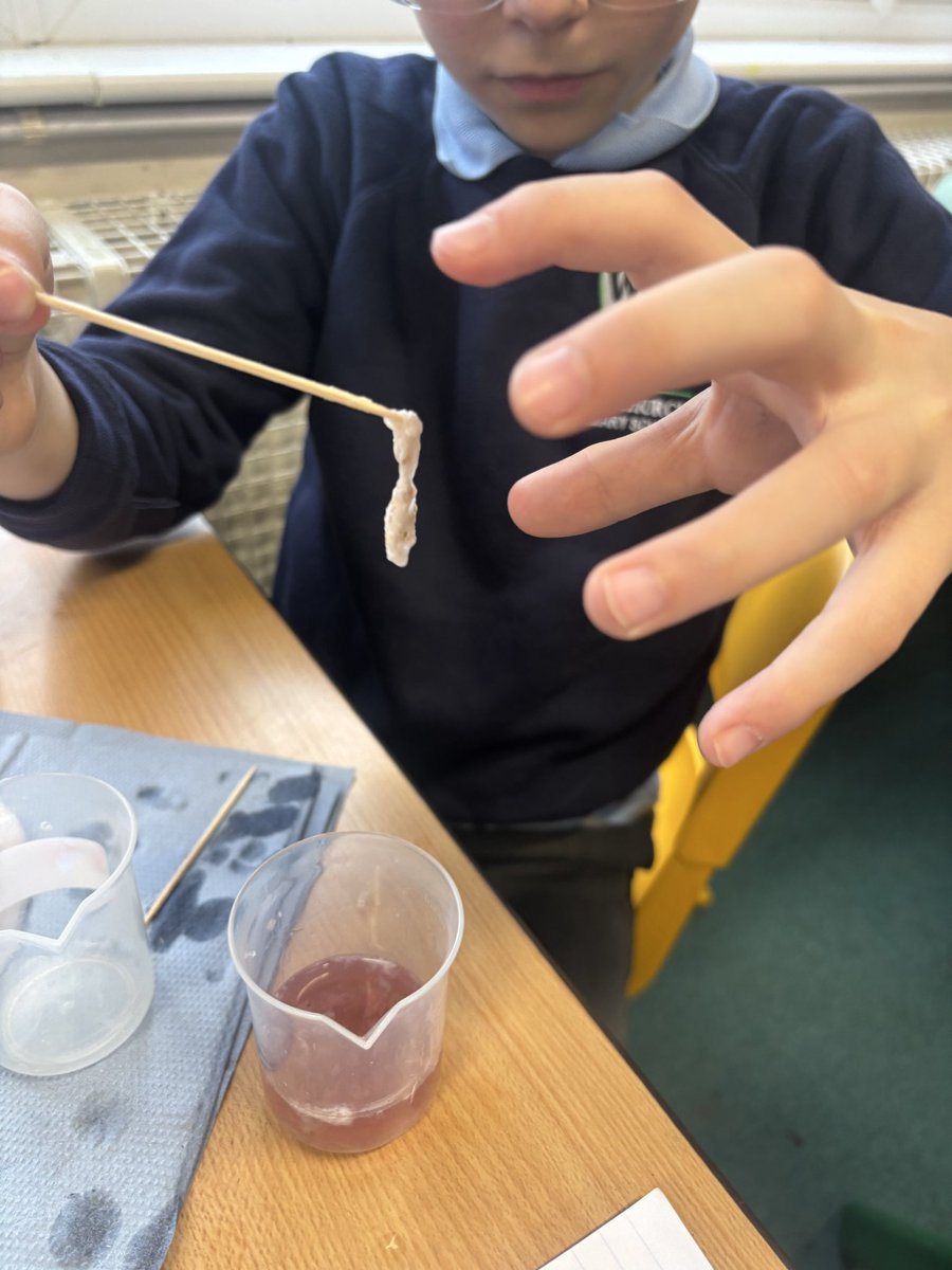 Whitchurch1's tweet image. Year 6 have completed their topic of Evolution and Inheritance, finishing off with extracting DNA from fruit.  #wpsscience