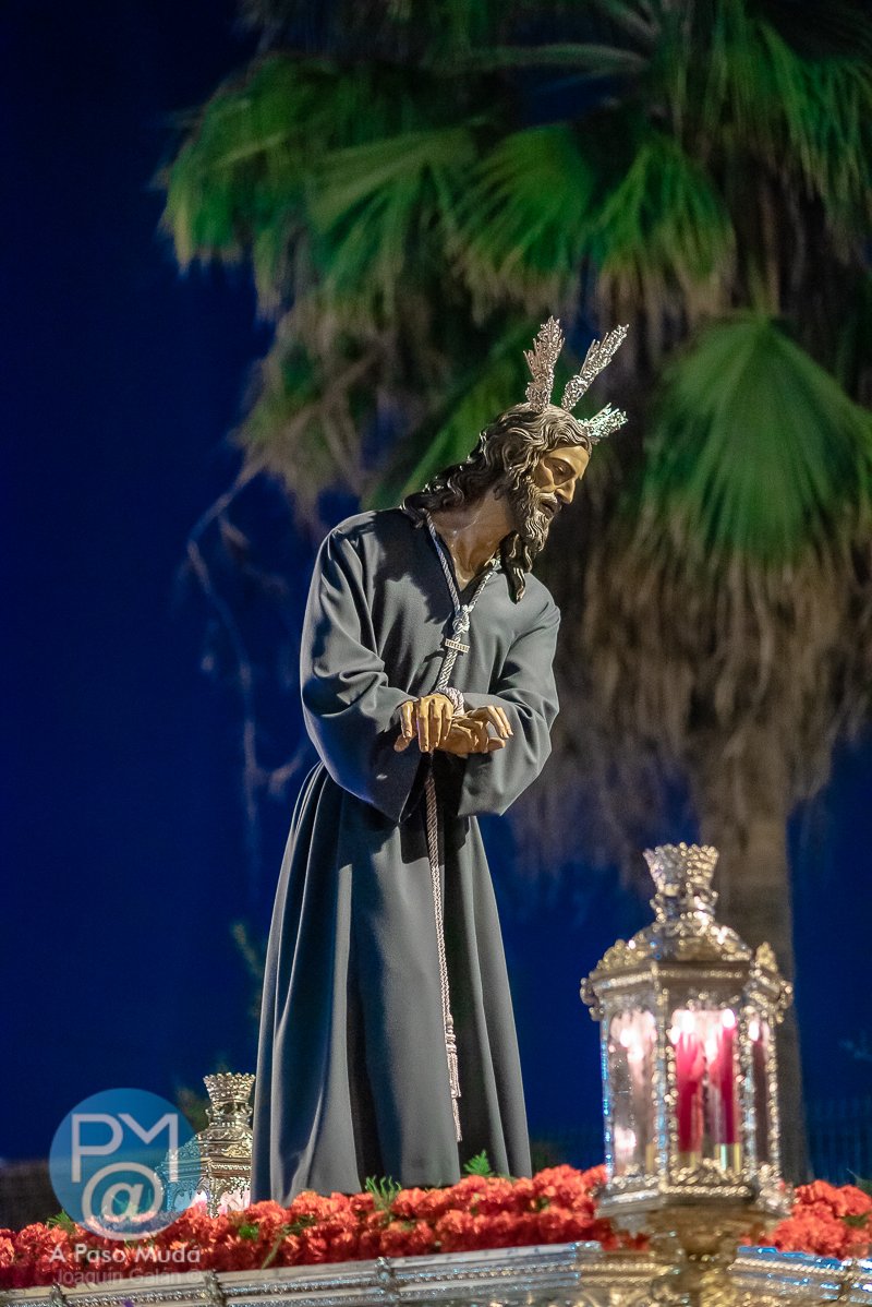 apasomuda's tweet photo. .@soberanoalcala Galería fotográfica del #viacrucis de Nuestro Padre Jesús del Soberano Poder en #AlcaláDeGuadaíra
#SoberanoPoder
#SoberanoAlcala
#TDSCofrade
#Cofradías
https://t.co/GUOjM0TXio https://t.co/n5Hx9Dp8Rr
