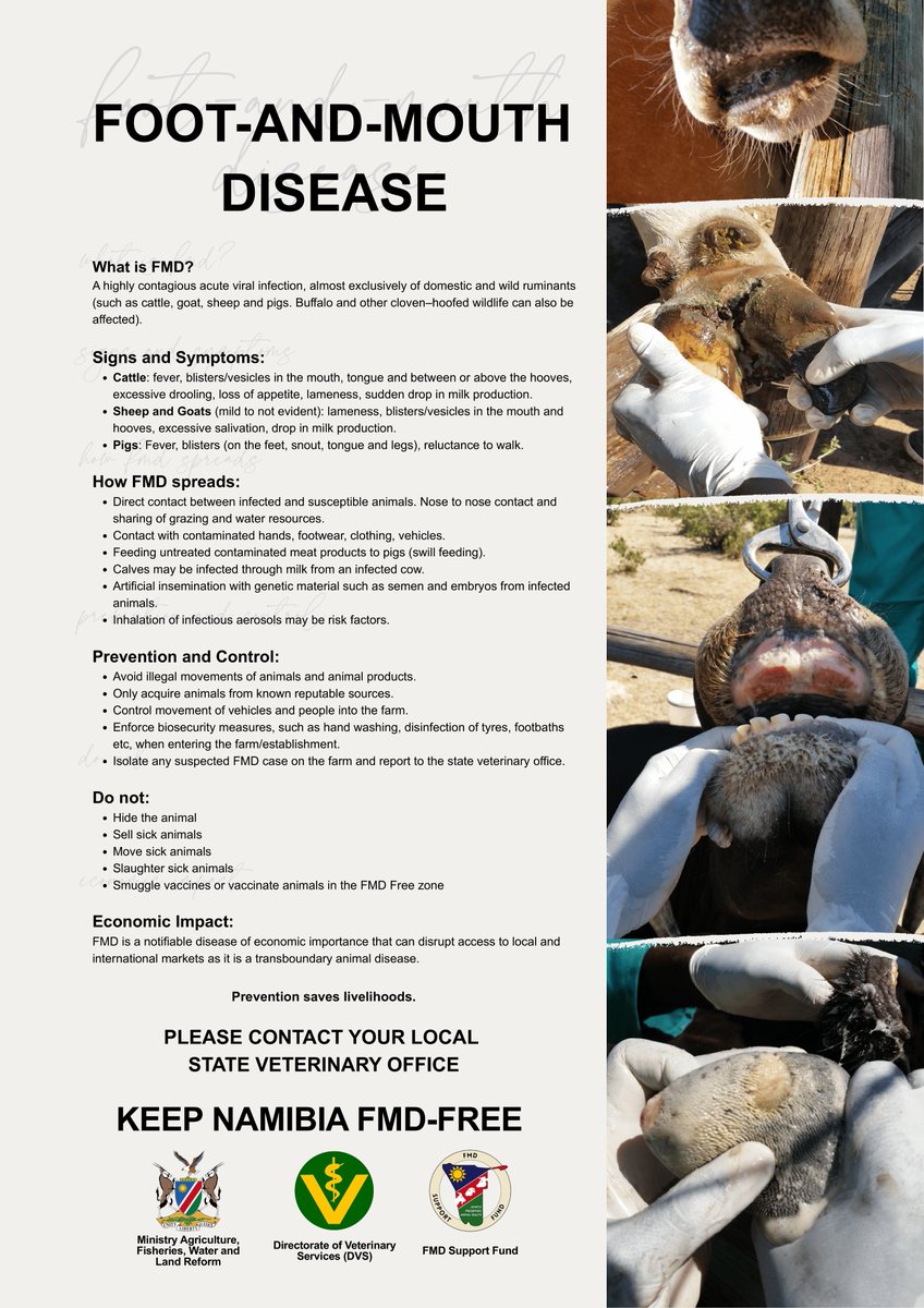 Meatco Namibia tweet media