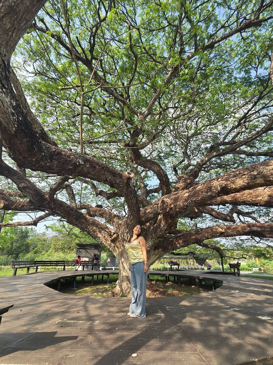 ゆみか 🪶 tweet media