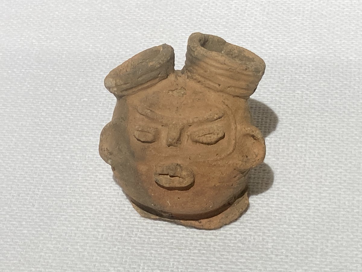 ちょろ@千葉 tweet media