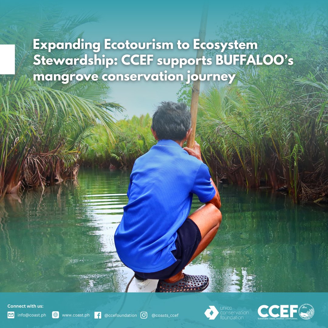 CCEF_PH's tweet photo. From February 10–12, 2026, BUFFALOO members, together with representatives from the LGU Badian, joined the Mangrove Rehabilitation and Nursery Establishment Training.

𝘙𝘦𝘢𝘥 𝘮𝘰𝘳𝘦: https://t.co/BWsD03M38u https://t.co/1K4ZYj3i5w