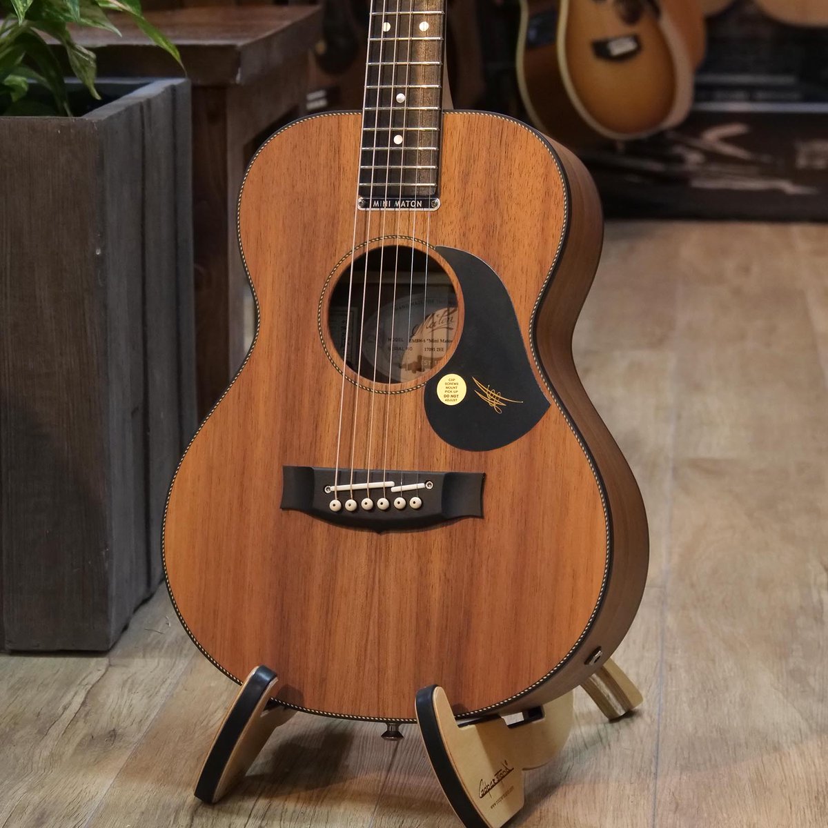 大阪店】 #MATON : EMBW6 (Mini Maton) ▽詳細・ご購入はこちら