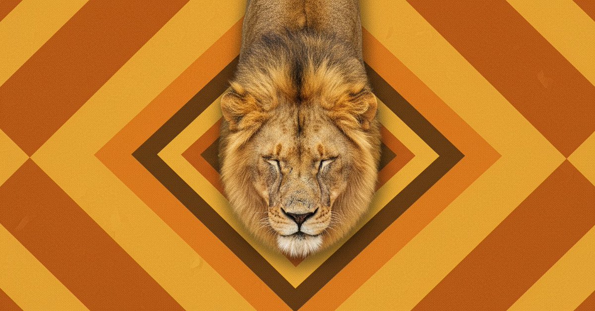 AnyAngle_ai's tweet photo. one majestic lion. four angles, all from a single upload. https://t.co/vVYnqSYVAS is redefining how we see wildlife 🌟

#AnyAngle #AIPhotography #ProductPhotography #CreativeAI https://t.co/db9gMOZ7bK
