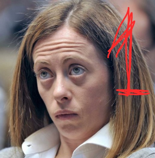 Re Mida al contrario... Tutto quello che tocca diventa merda. #GovernodellaVergogna #MeloniVergognaNazionale