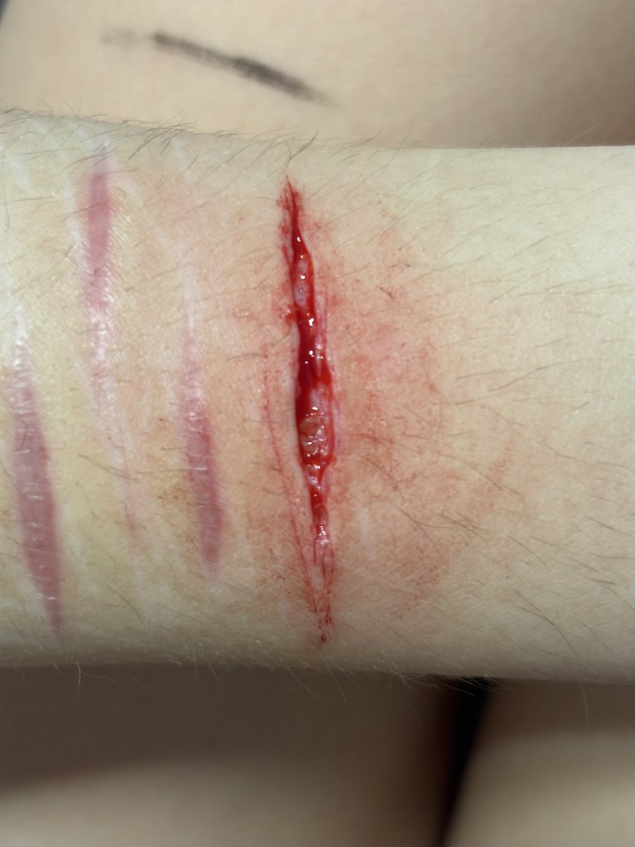 bailey #shedtwt tweet media