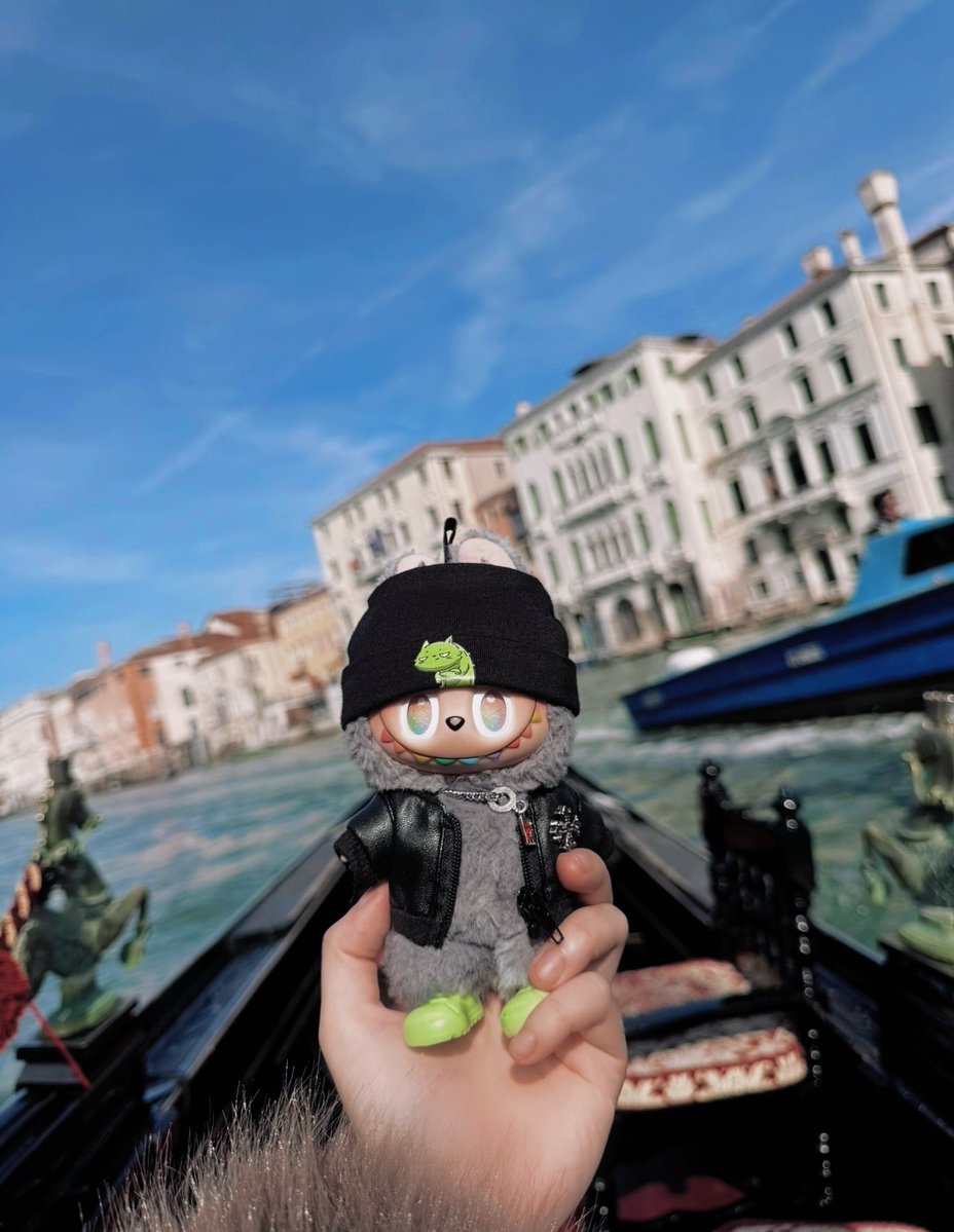 Pickle Cat tweet media