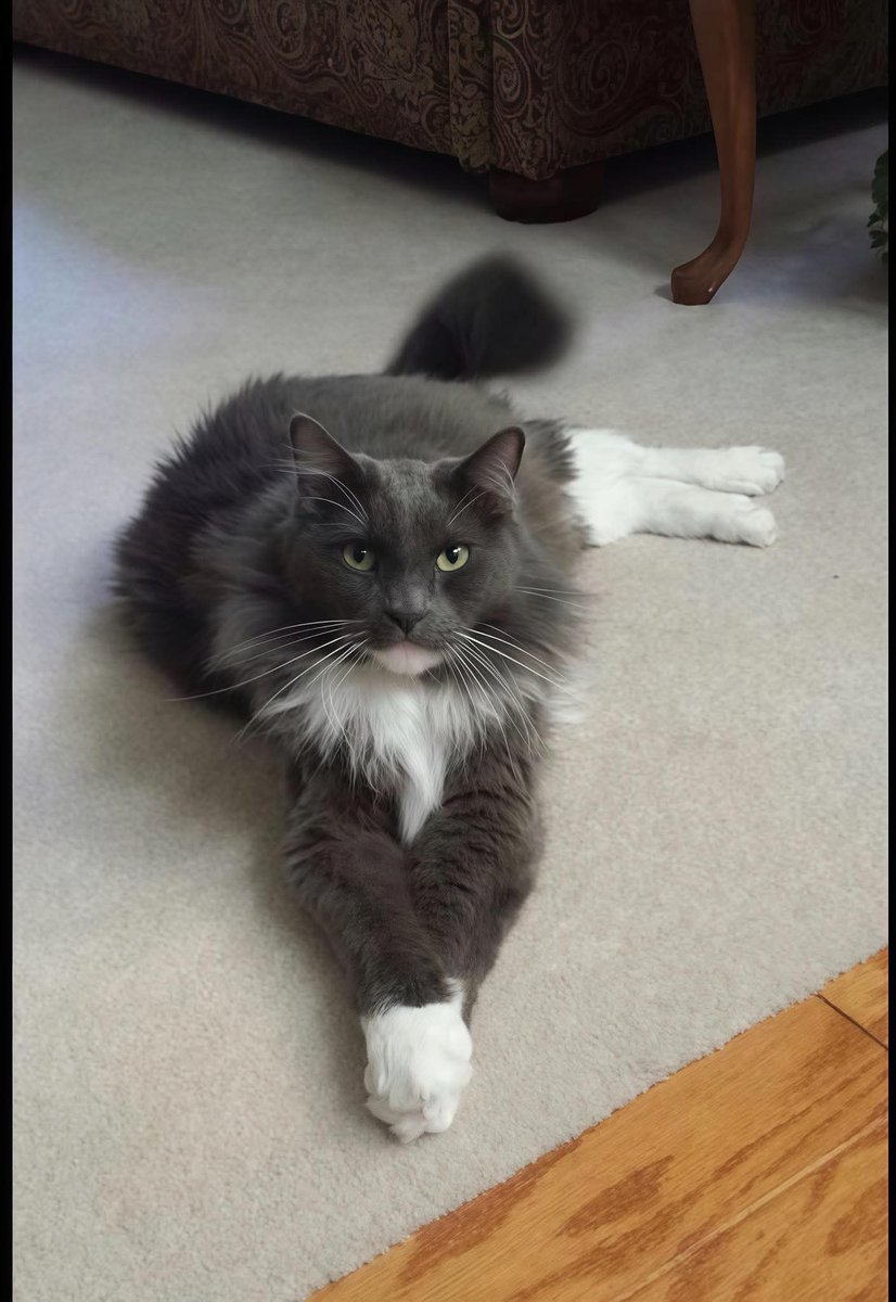 Arthur Collins tweet media