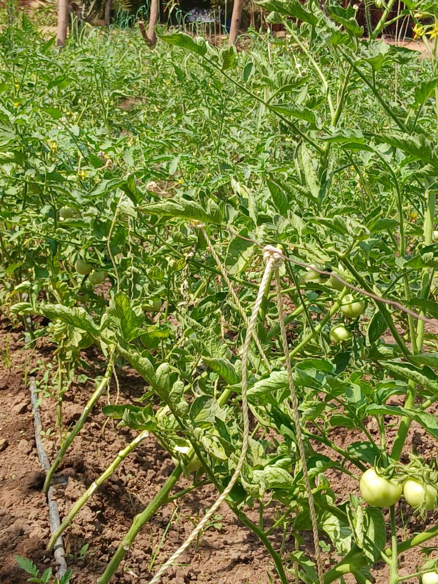 Solidarity with South Sudan tweet media