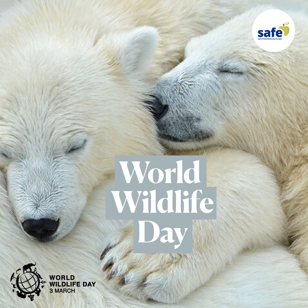 SAFE - Safe Food Advocacy Europe tweet media