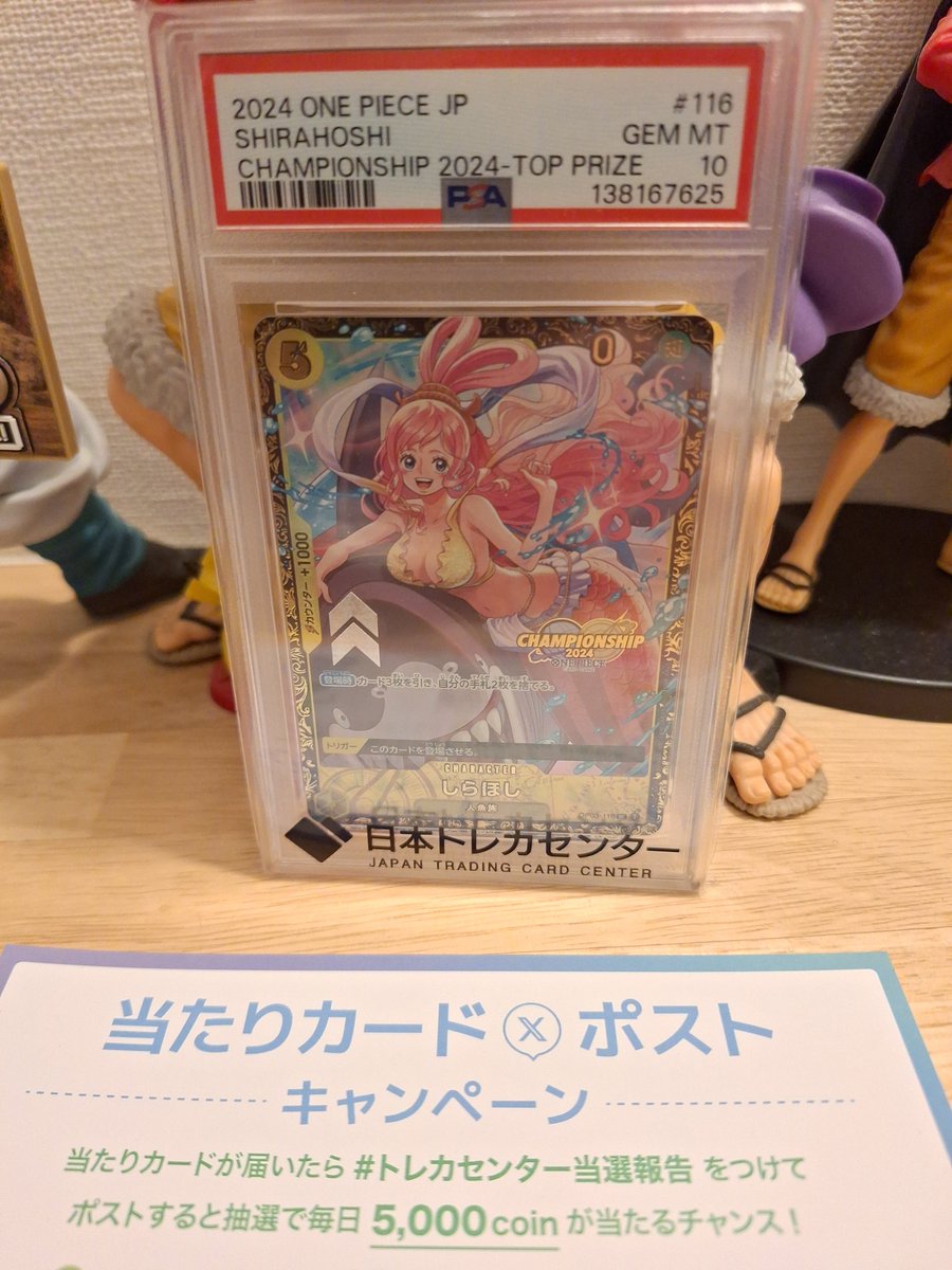 トレカセンター当選報告 しらほし チャンピオンシップpsa10当たりました🎶