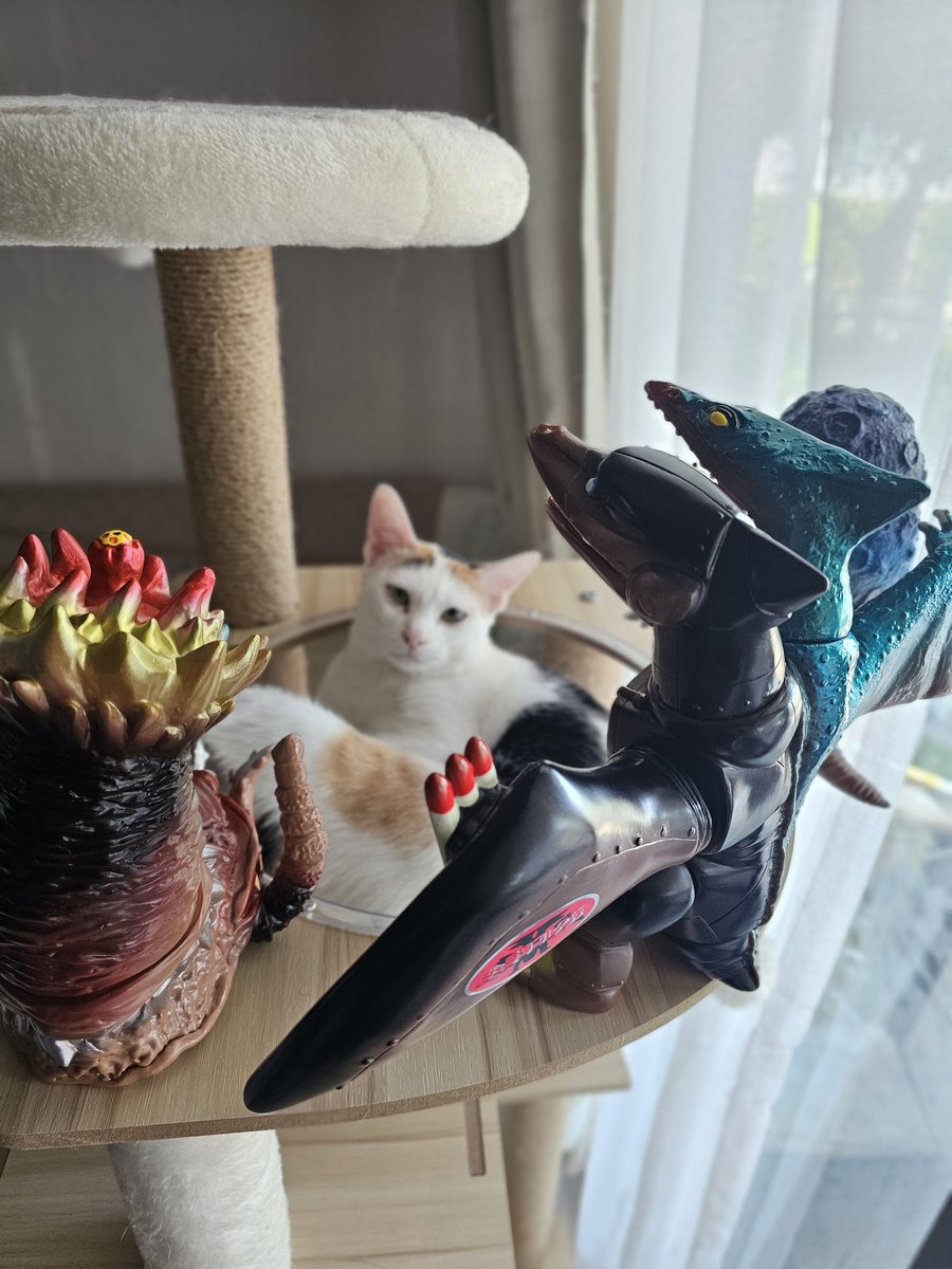 Ozmax777 tweet media