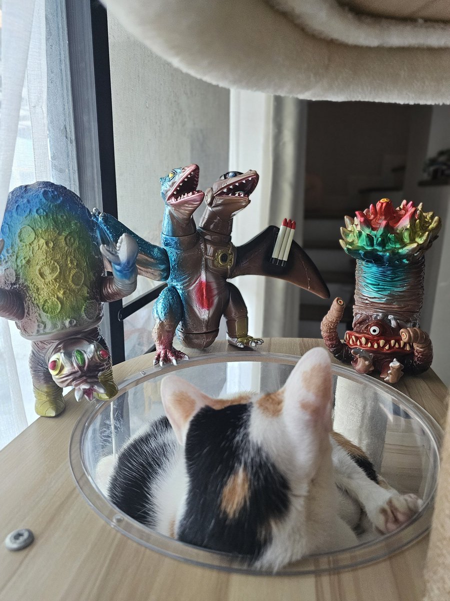 Ozmax777 tweet media