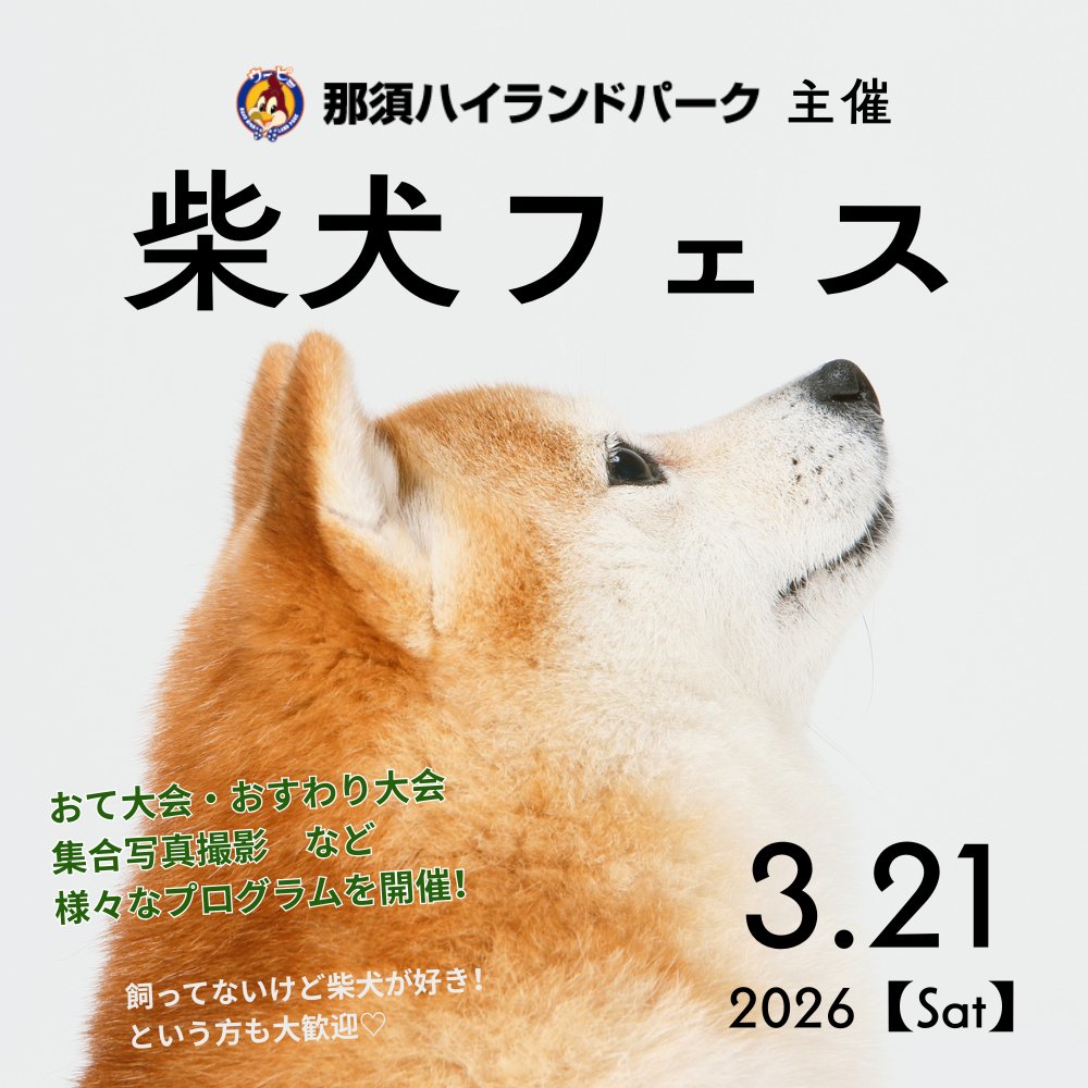 いよいよ本日「柴犬フェス」が開催されます🎈 朝からたくさんの柴犬