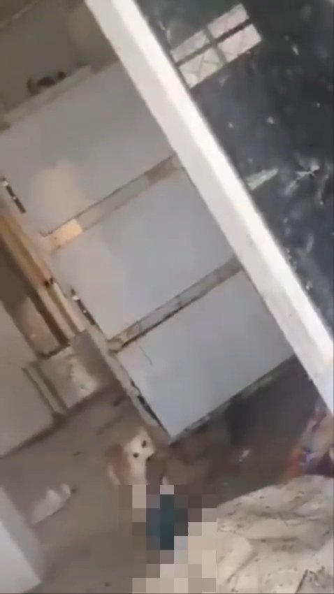 NewsMeter_In's tweet image. #Telangana:

Shocking incident at Govt Area Hospital, #Jadcherla: 

#Straydogs attacked a deceased inside the #mortuary after it was allegedly left unsecured.

#HealthMinister @DamodarCilarapu Rajanarasimha ordered a #probe.

Following the Minister’s directions,