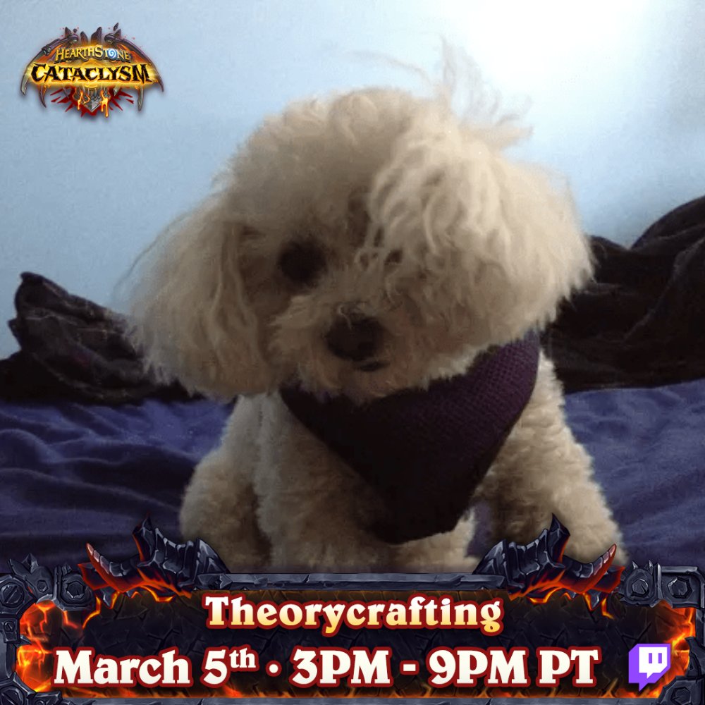 TeamAmerica 🇺🇸 tweet media