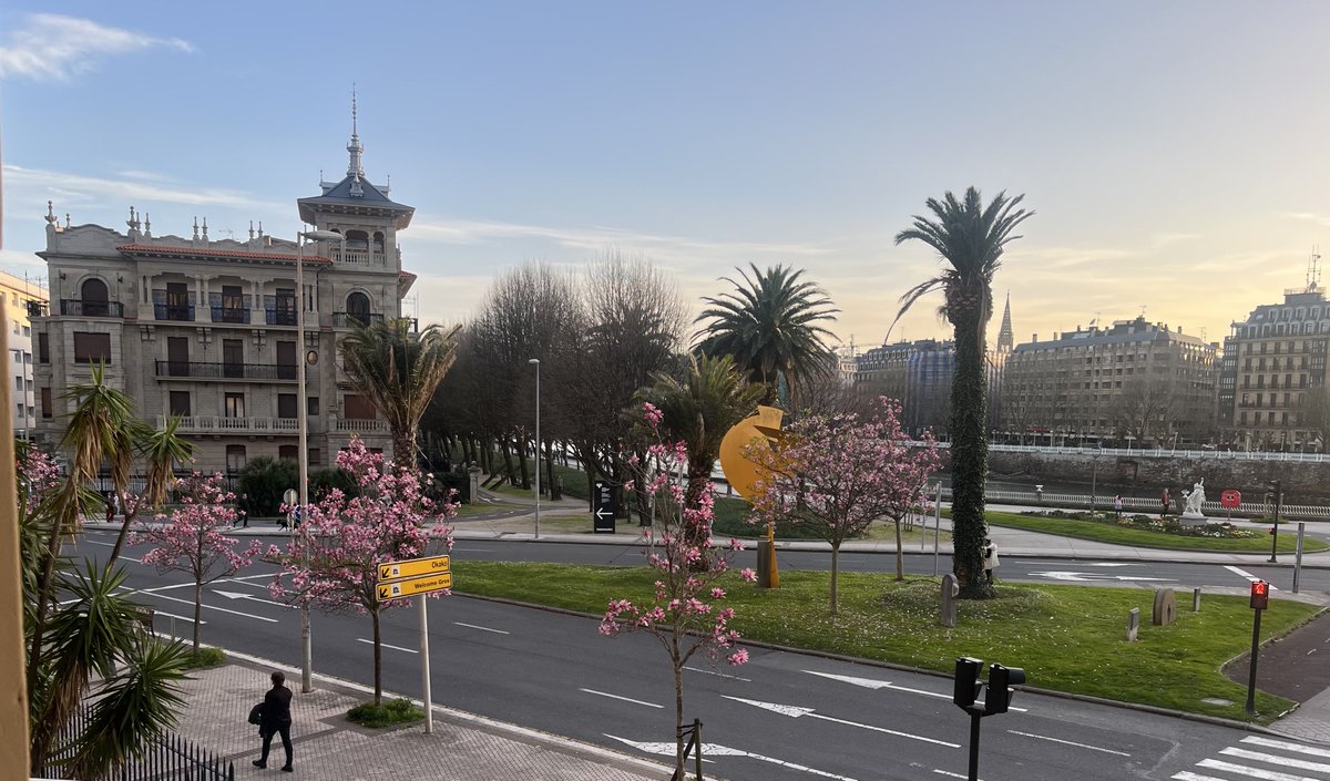 Paz de Corral tweet media