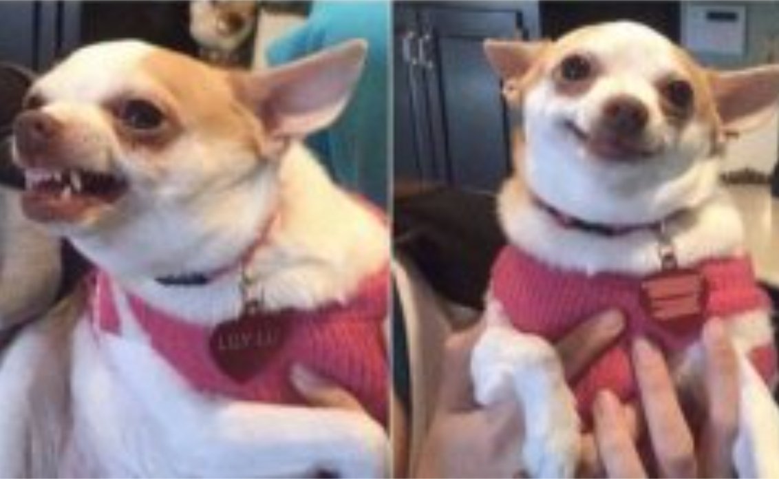 wayne Tavit tweet media