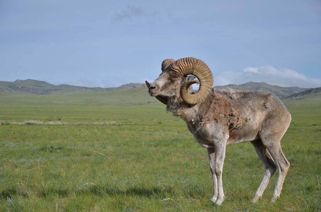 Medio Ambiente UPV tweet media