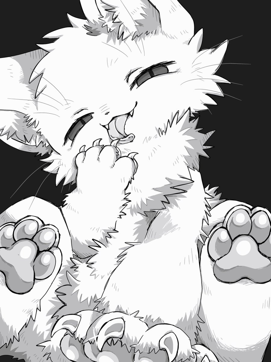 シマチョウ tweet media