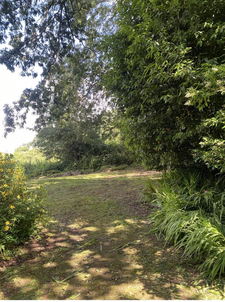 Breeda Murphy tweet media