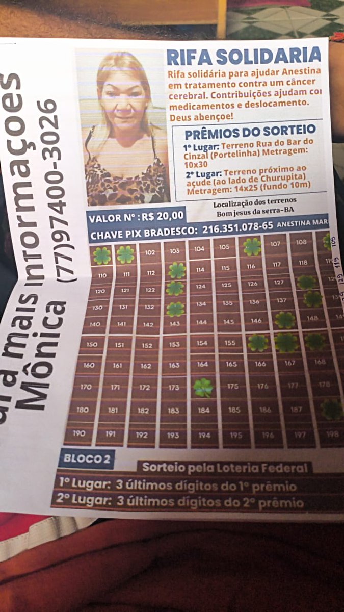 Orestes 🇧🇷 tweet media