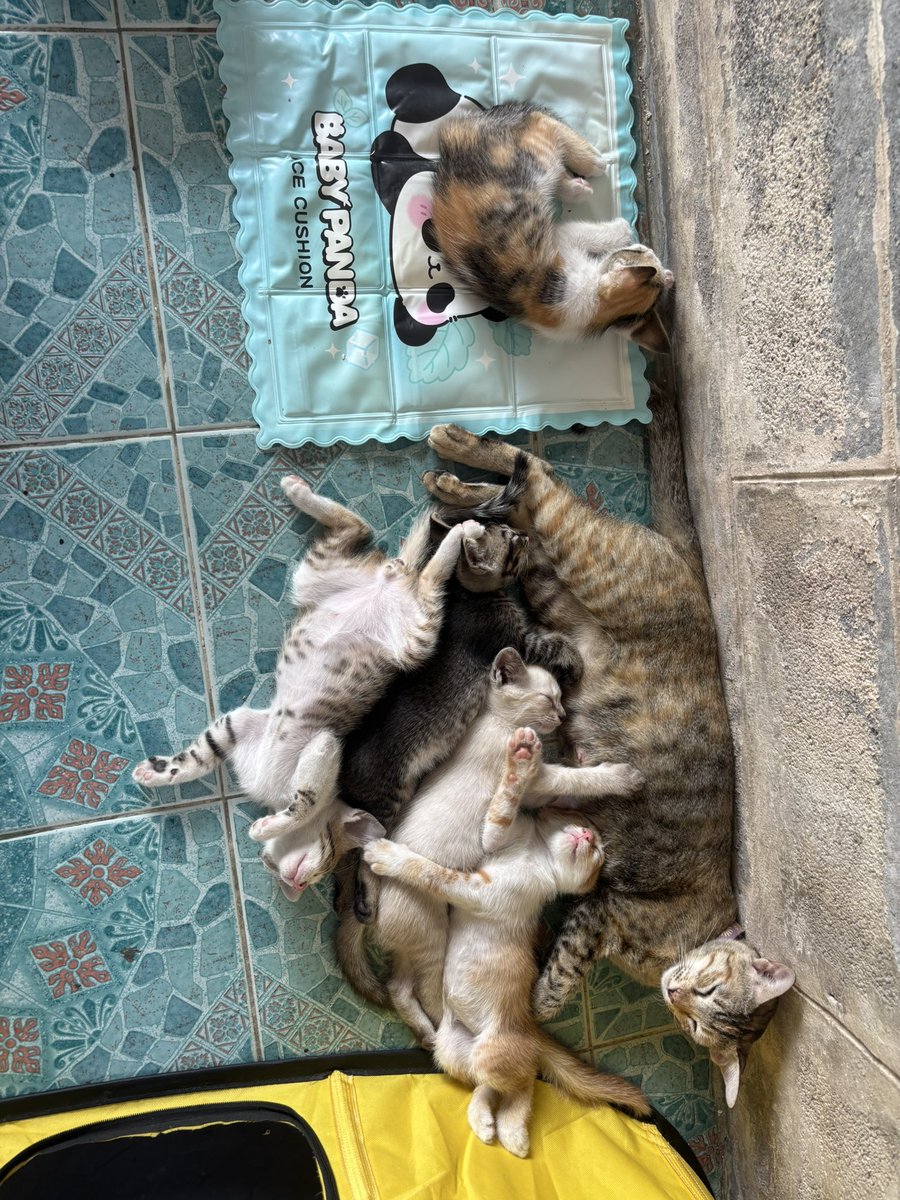 555555555 หลับแบบสบายใจเกิ้น จกพุงแม่ง