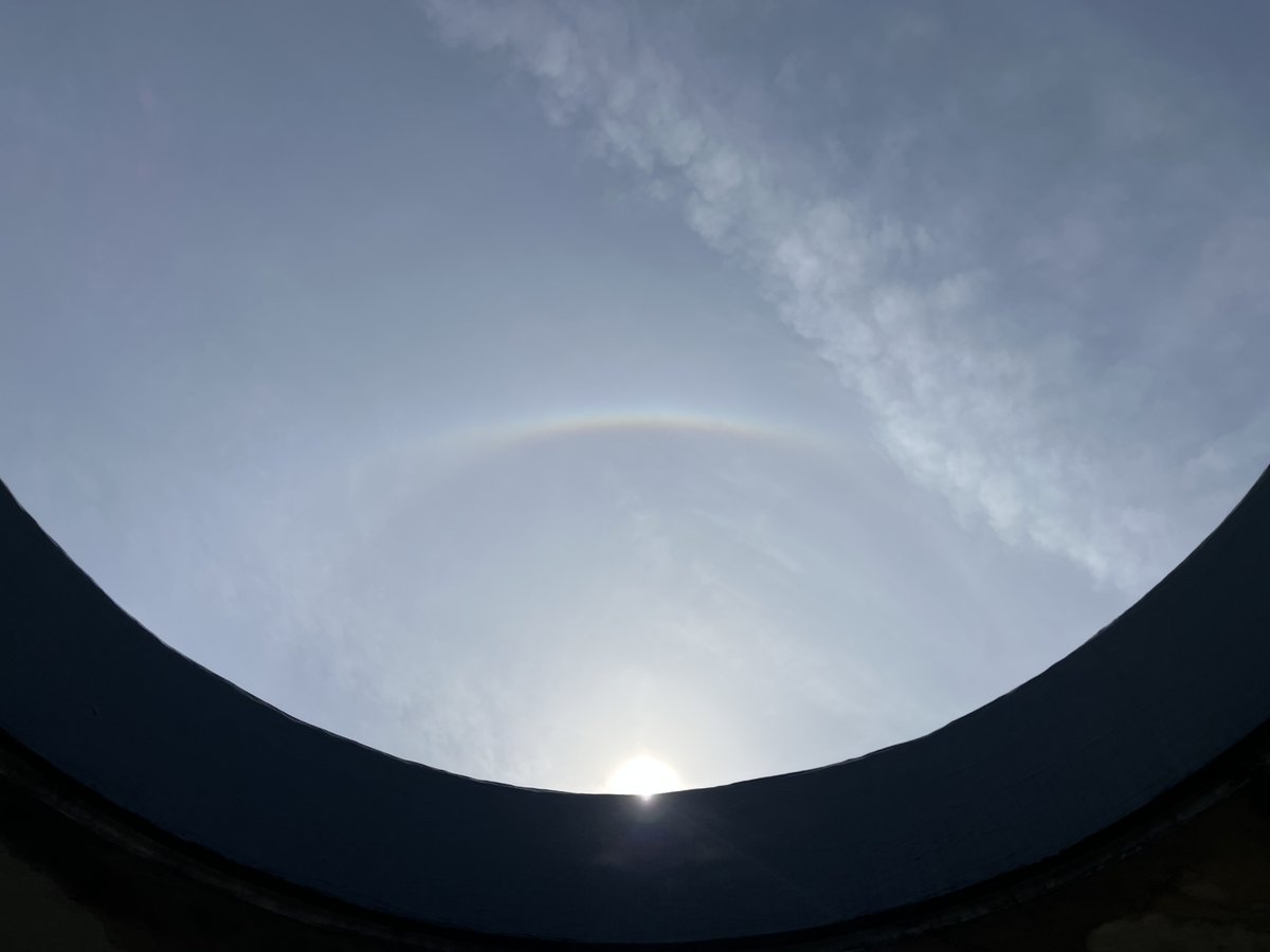 魚津埋没林博物館 tweet media