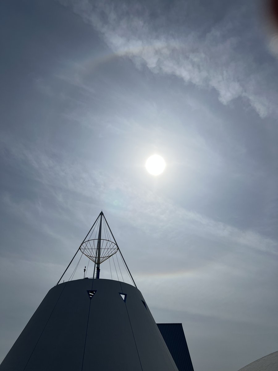 魚津埋没林博物館 tweet media