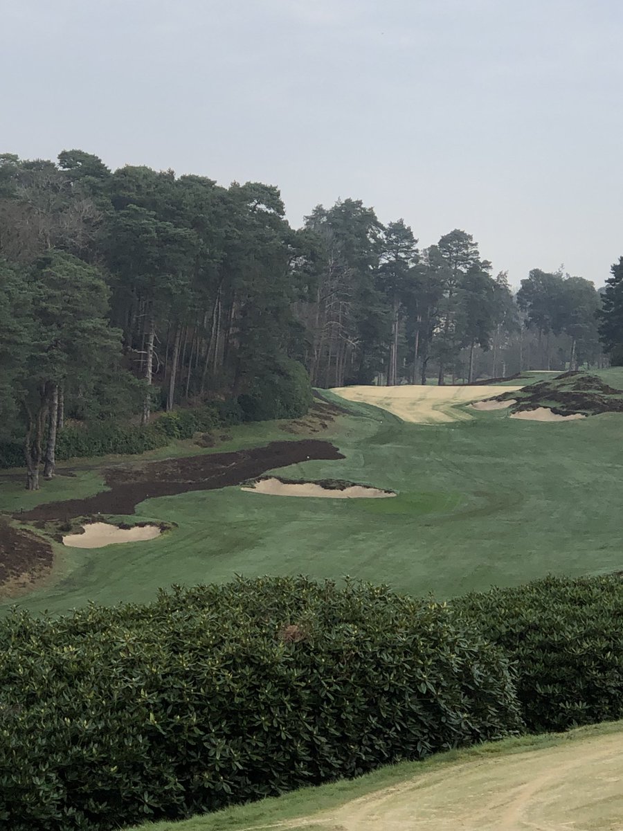 StGeorgesHillGC's tweet photo. #HeathlandRestoration #CourseMaintenance 👇 https://t.co/9vbhTPtMgE