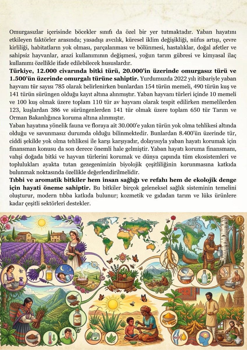 enderyarsan's tweet photo. 3 Mart Dünya Yaban Hayatı Günü Kutlu olsun... https://t.co/UNmMCiQNiP