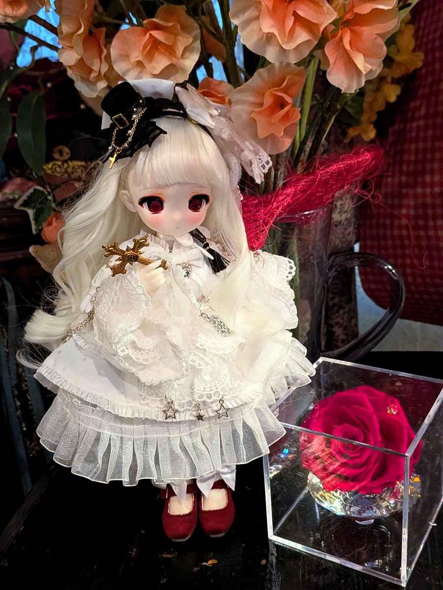 キラキラ薔薇と血花嫁トュちゃま 血を吸うわよ！🌹🦇 #TinyFox