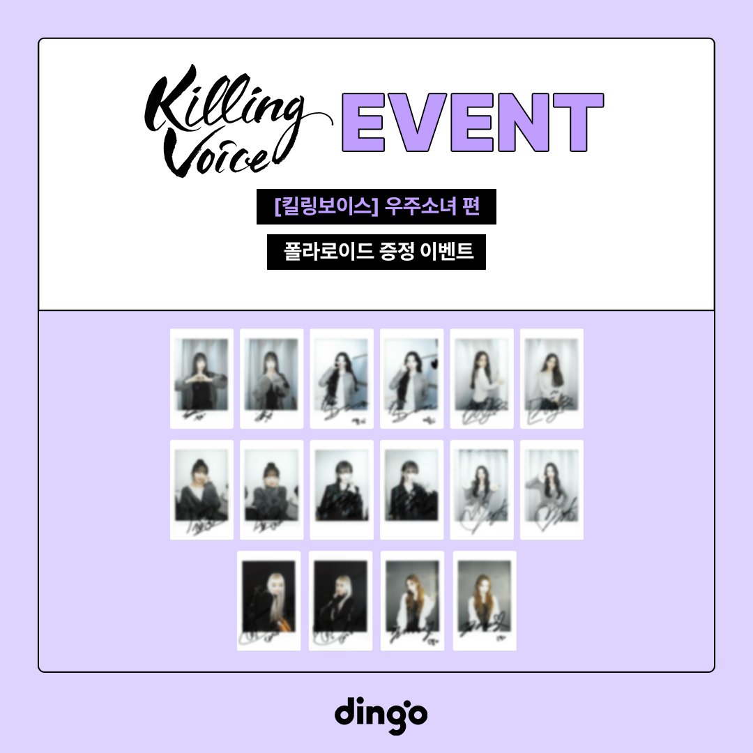 dingo(딩고) tweet media