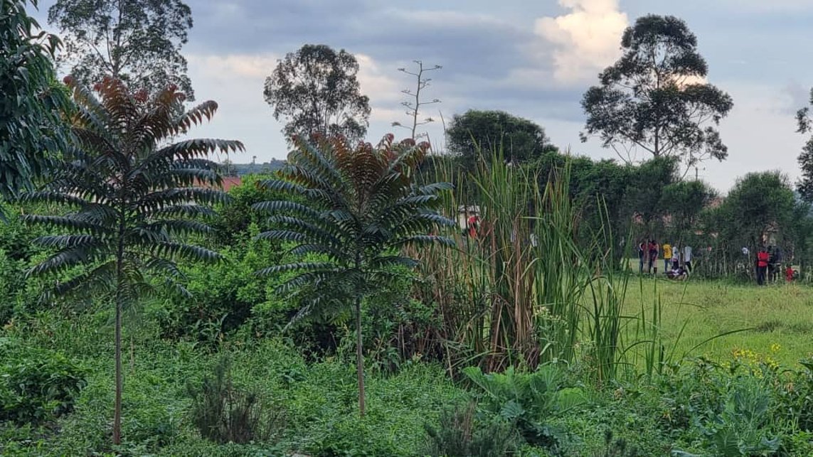 NatureUganda tweet media